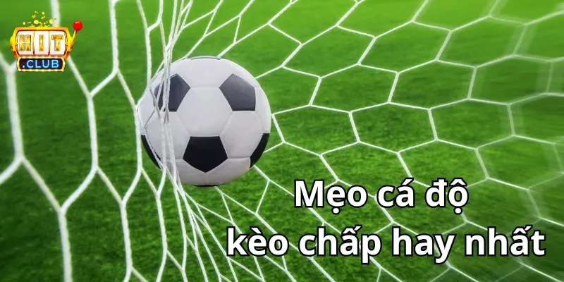 mẹo cá độ kèo chấp hitclub